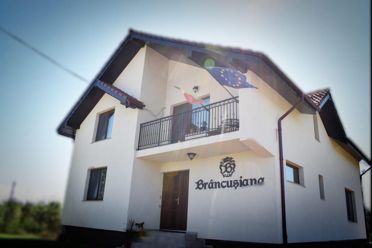 Casa Brancusiana Apartment Targu Jiu Exterior photo