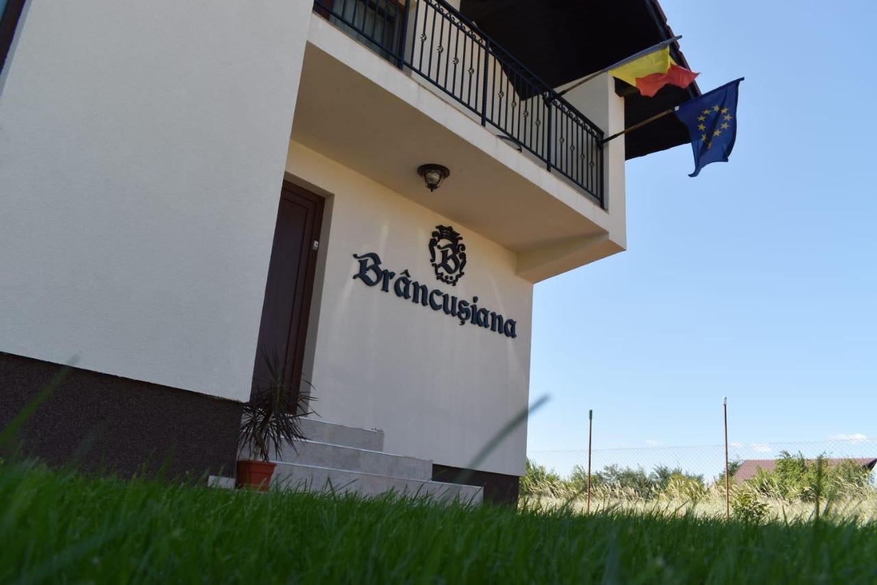 Casa Brancusiana Apartment Targu Jiu Exterior photo